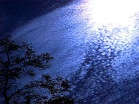 Cirrocumulus clouds appear as small, rounded white puffs that appear in long rows. The small ripples in the cirrocumulus clouds sometime resemble the scales of a fish. Cirrocumulus clouds are usually seen in the winter and indicate fair, but cold weather. In tropical regions, they may indicate an approaching hurricane.