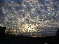 Altocumulus clouds are mid level clouds that are made of water droplets and appear as gray puffy masses. They usually form in groups. If you see altocumulus clouds on a warm, sticky morning, be prepared to see thunderstorms late in the afternoon.