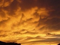 Mammatus clouds are low hanging bulges that droop from cumulonimbus clouds. Mammatus clouds are usually associated with severe weather.