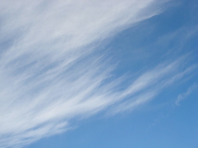 Cirrus clouds are the most common of the high clouds. They are composed of ice and are thin, wispy clouds blown in high winds into long streamers. Cirrus clouds are usually white and predict fair to pleasant weather. By watching the movement of cirrus clouds you can tell from which direction weather is approaching. When you see cirrus clouds, it usually indicates that a change in the weather will occur within 24 hours.